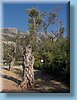 montenegro_104.jpg