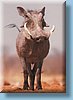 namibia_12.jpg
