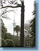 nz_22.jpg