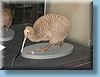 nz_30.jpg