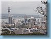nz_38.jpg