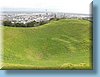 nz_39.jpg