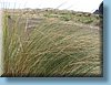 nz_52.jpg