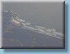 nz_69.jpg