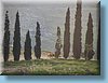 palaestina_56.jpg