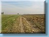 serbia_09.jpg