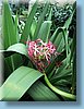 singapore_48.jpg