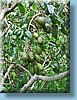 singapore_49.jpg