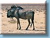 southafrica_03.jpg