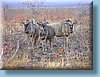southafrica_04.jpg