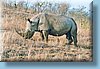 southafrica_05.jpg