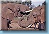 southafrica_06.jpg