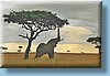 southafrica_08.jpg