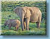 southafrica_09.jpg