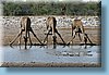 southafrica_11.jpg