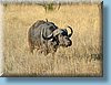 southafrica_15.jpg