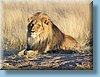 southafrica_18.jpg
