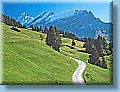 suisse_18.jpg