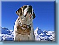 suisse_26.jpg
