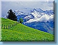 suisse_28.jpg