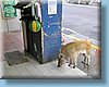 taiwan_19.jpg