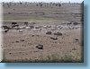 tanzania_013.jpg