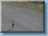 tanzania_016.jpg