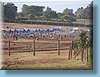tanzania_023.jpg