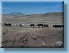 tanzania_043.jpg