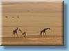 tanzania_046.jpg