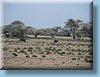 tanzania_073.jpg