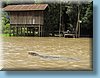 thai_043.jpg