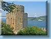 turkey_22.jpg